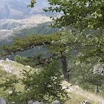 Lo Straniero Bed & Breakfast