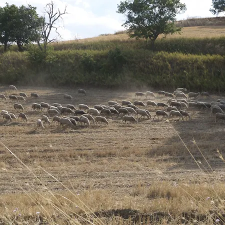 Lo Straniero 3* Rivello