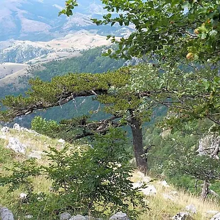 Lo Straniero فندق مبيت وإفطار Rivello