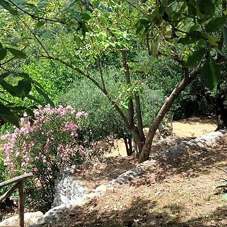 فندق مبيت وإفطار Lo Straniero 3*