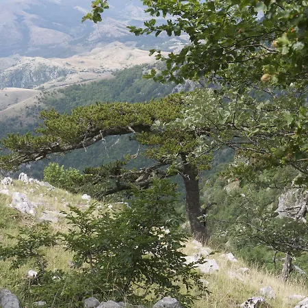 Lo Straniero Bed & Breakfast