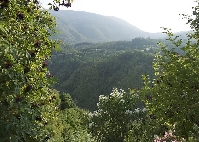 Lo Straniero Rivello