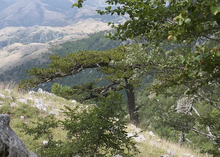 Lo Straniero ベッド・アンド・ブレックファスト